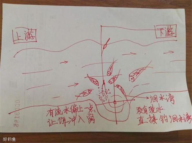 河北省釣魚協會_河北釣魚網_河北釣魚網石家莊論壇