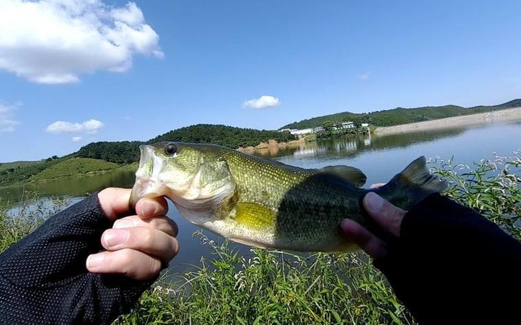 河北省釣魚協會_河北釣魚網石家莊論壇_河北釣魚網