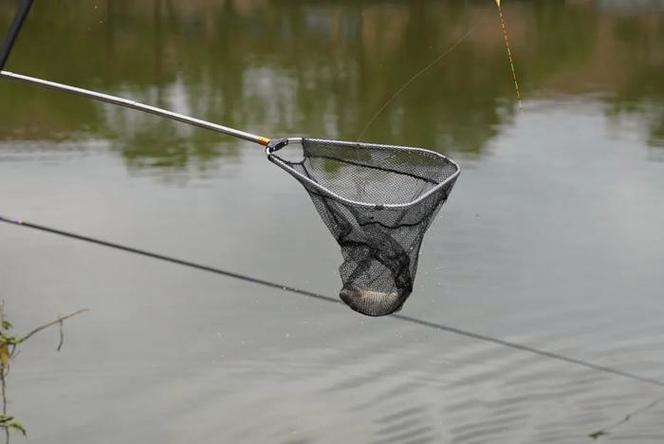 釣魚比賽視頻大全_釣魚比賽 校內 釣魚活動
