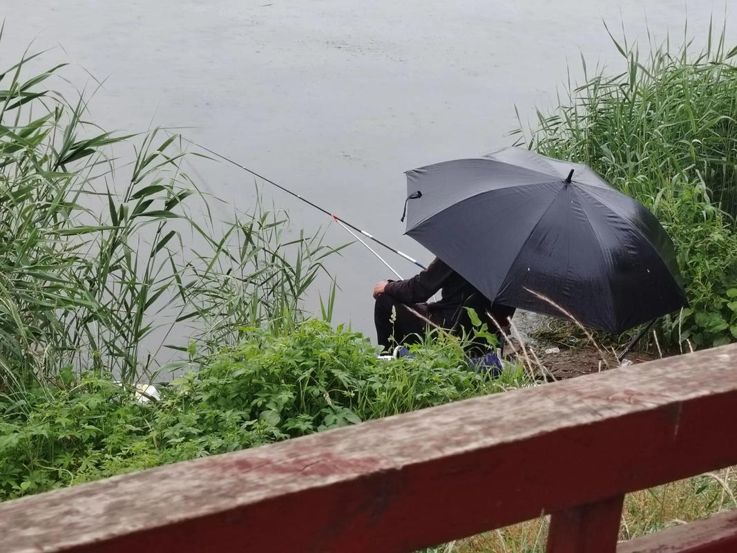 釣魚下雨樣天氣好釣嗎_下雨天釣魚怎么樣_釣魚下雨天好不好釣