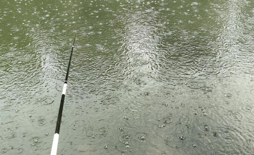 釣魚下雨樣天氣好釣嗎_下雨天釣魚怎么樣_釣魚下雨天好不好釣