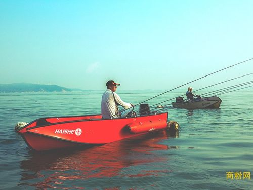釣魚打窩船_釣魚打窩船_遙控打窩船