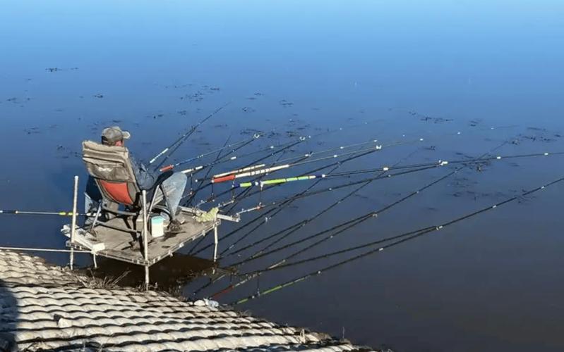 遙控船打窩釣魚違法_打窩船下絲網非法捕撈_釣魚打窩船