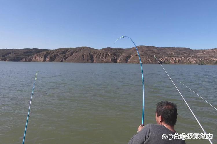 海竿釣魚甩桿技巧視頻_海竿投遠方法_海竿甩投技巧