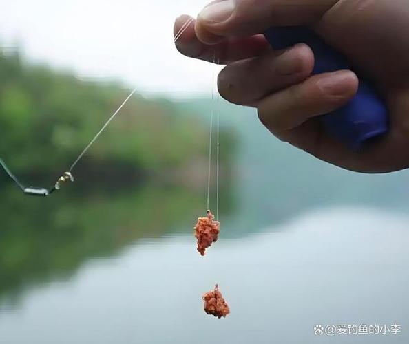 怎樣釣鯽魚上鉤快_冬季垂釣餌料選擇_冬季垂釣技巧