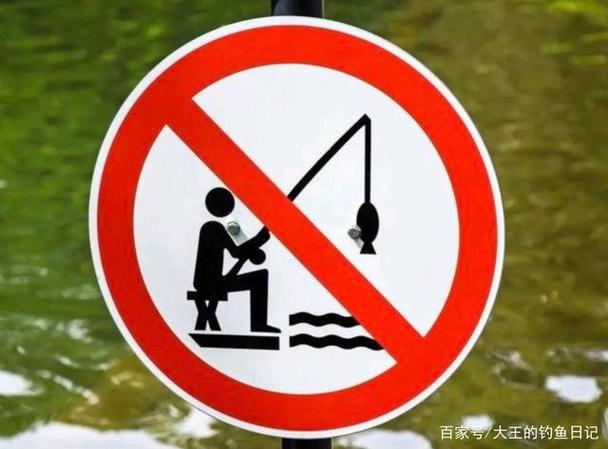 可視錨魚違法_可視錨魚處罰標準_中魚率高的錨魚法