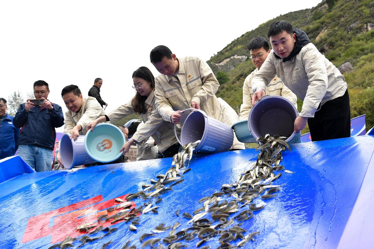 放生魚怎么運輸_運河放生280條魚_放生魚軌