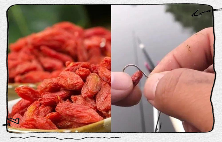 路亞釣草魚用什么餌最好的_路亞釣草魚用什么餌_草魚路亞餌選擇技巧