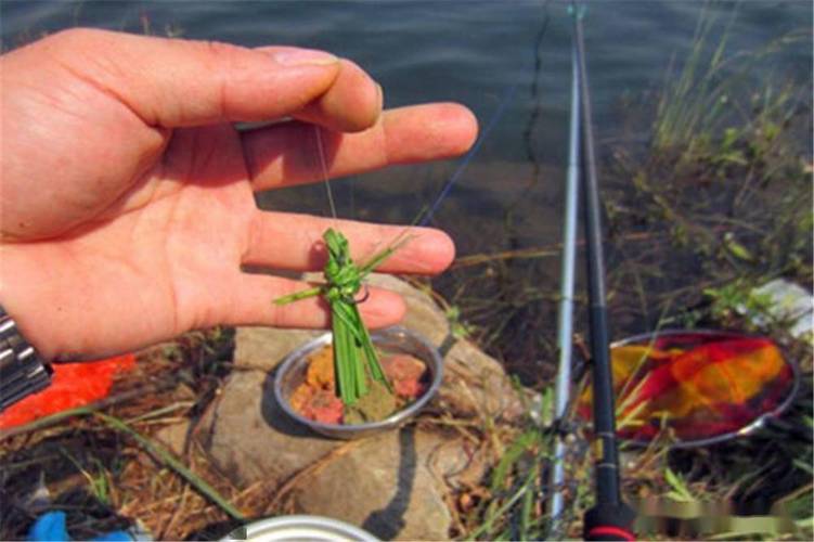 釣草魚最佳時間_草魚餌料選擇_路亞釣草魚用什么餌合適