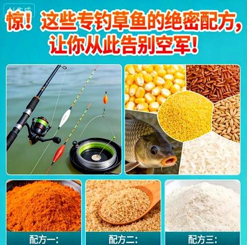 浮釣草魚用什么餌料黑坑_草魚餌料配方_天然素餌草魚釣法