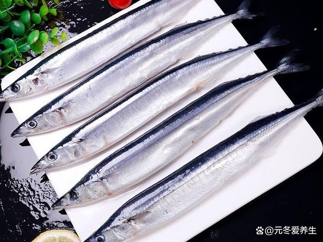 魚類營養價值_鱸魚的營養價值_魚油藥用價值