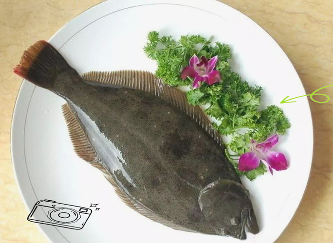 鱸魚的營養價值_魚類營養價值_魚油藥用價值