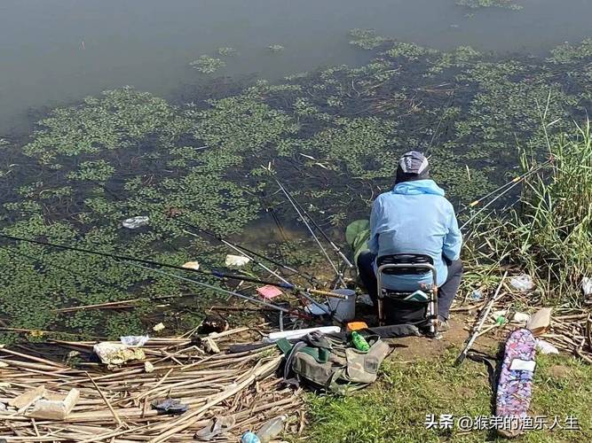 天津武清附近野釣地點_武清野釣魚的地方_天津武清區野釣地點