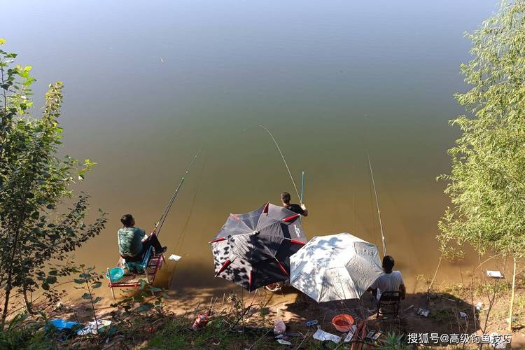武清野釣魚的地方_天津武清區野釣地點_天津武清附近野釣地點
