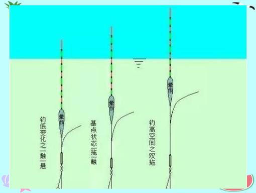 掛雙餌調漂_釣魚調漂方法圖解_雙餌調漂的科學性