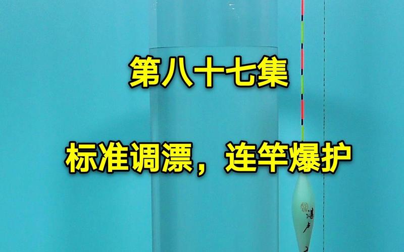 釣魚調漂技巧_魚漂調校要訣_釣魚調漂視頻完整版
