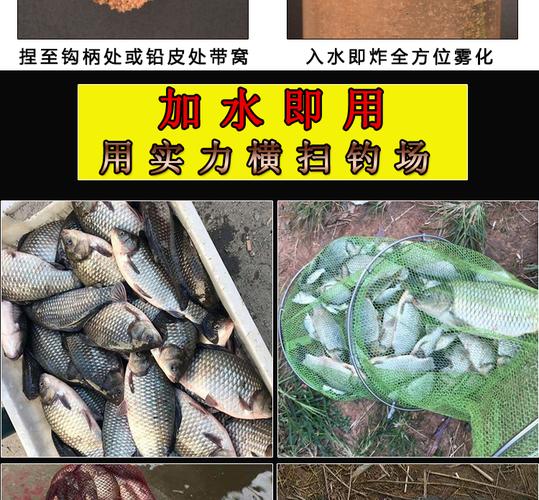 釣魚餌料如何搭配_通威釣魚餌料搭配_釣魚餌料搭配技巧和方法