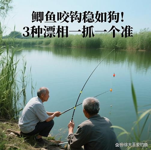釣魚浮漂怎么調圖解_子線選擇與使用方法_浮漂吃鉛量選擇技巧