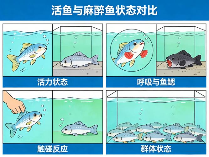 釣魚網站是什么_假冒官方網站詐騙_釣魚網站排名