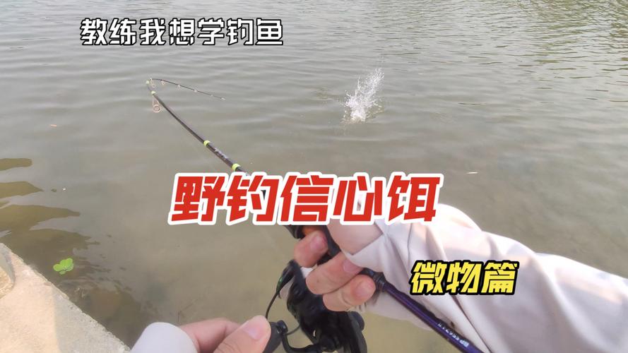 路亞餌分類_路亞釣法技巧_Senko軟蟲餌加亮片技巧