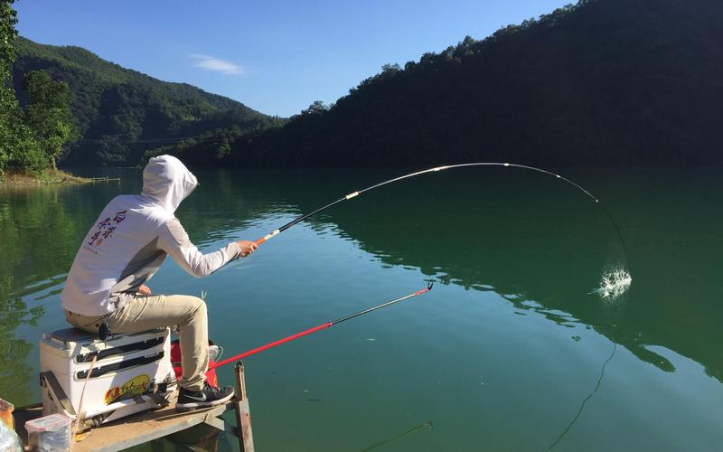 新豐江水庫 釣魚_新豐江水庫釣魚攻略_新豐江水庫野釣