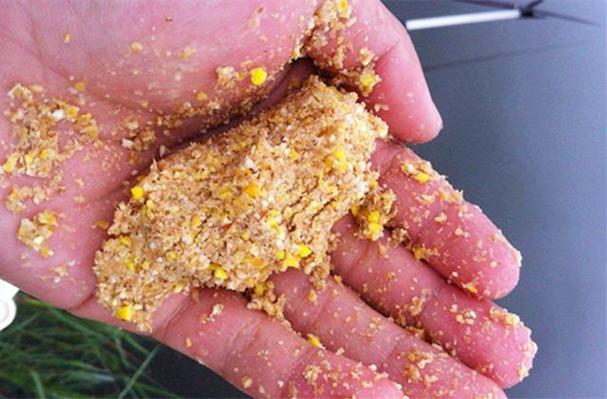 玉米粒釣魚用什么打窩_生玉米粒打窩_下水投料做窩
