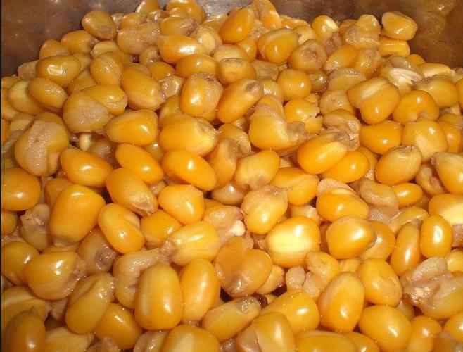 生玉米粒打窩_下水投料做窩_玉米粒釣魚用什么打窩