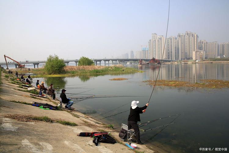 天下釣魚注冊_天下釣魚視頻欄目_天下釣魚網