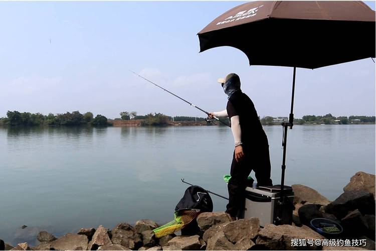 選擇魚竿長度技巧_根據釣魚時間選擇魚竿長度_3.6米魚竿適合在哪釣魚