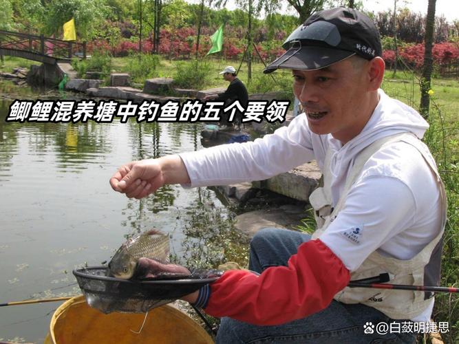 選擇魚竿長度技巧_3.6米魚竿適合在哪釣魚_根據釣魚時間選擇魚竿長度