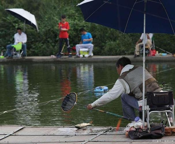 黑坑釣草魚選漂技巧_黑坑釣草魚調漂方法_黑坑釣草魚用什么餌料最好的選擇