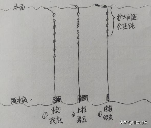 黑坑釣草魚調漂方法_黑坑釣草魚用什么餌料最好的選擇_黑坑釣草魚選漂技巧
