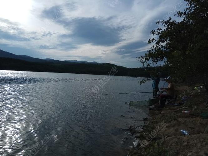 老鬼水庫釣魚視頻_老鬼釣魚視頻大全水庫_老鬼視頻學釣魚