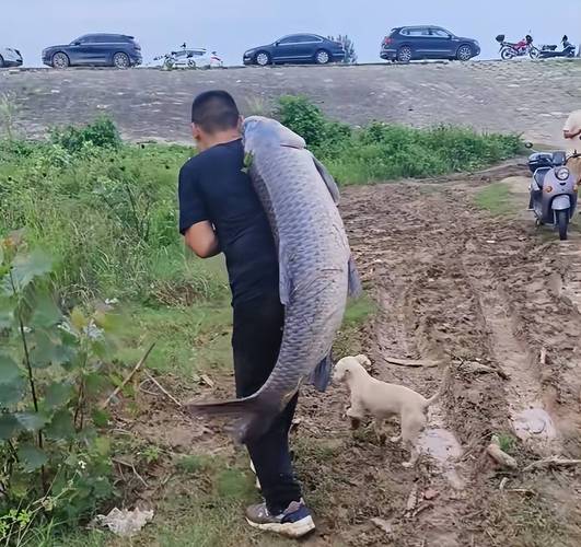 壓風線正確方法_釣魚拋竿技巧_拋竿線組圖解