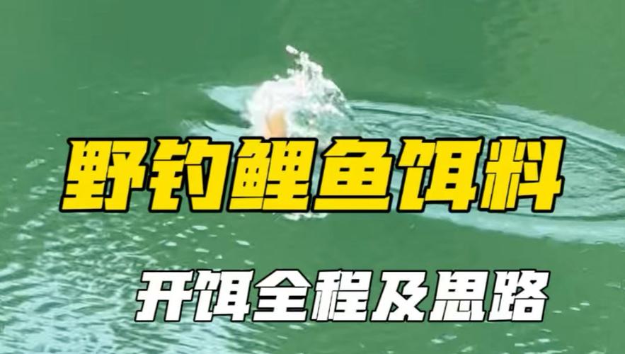 自制鯉魚餌料配方_草魚餌料自制方法野釣_野釣鯉魚土方子