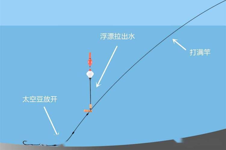 釣青魚技巧_青魚怎么釣_青魚餌料配方