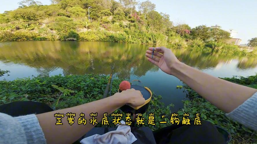 垂釣學院_垂釣學院2014_垂釣學院第一季免費觀看