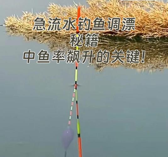 春季釣鯽魚調漂方法_釣魚調漂_春季釣鯽魚浮漂調五目