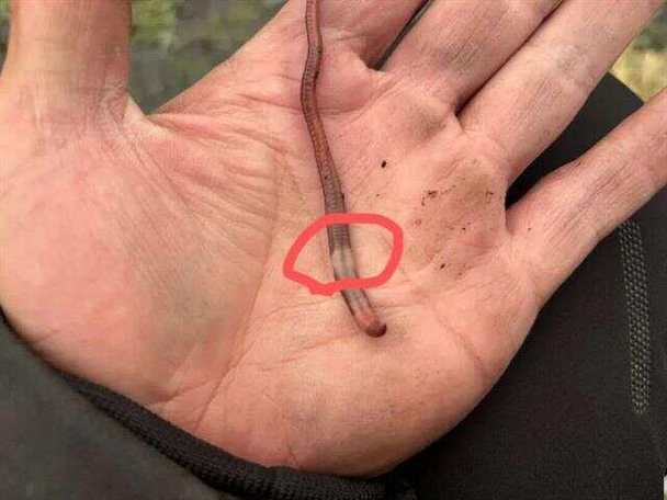 海峽釣魚論壇_釣魚論壇_釣魚論壇哪個最好