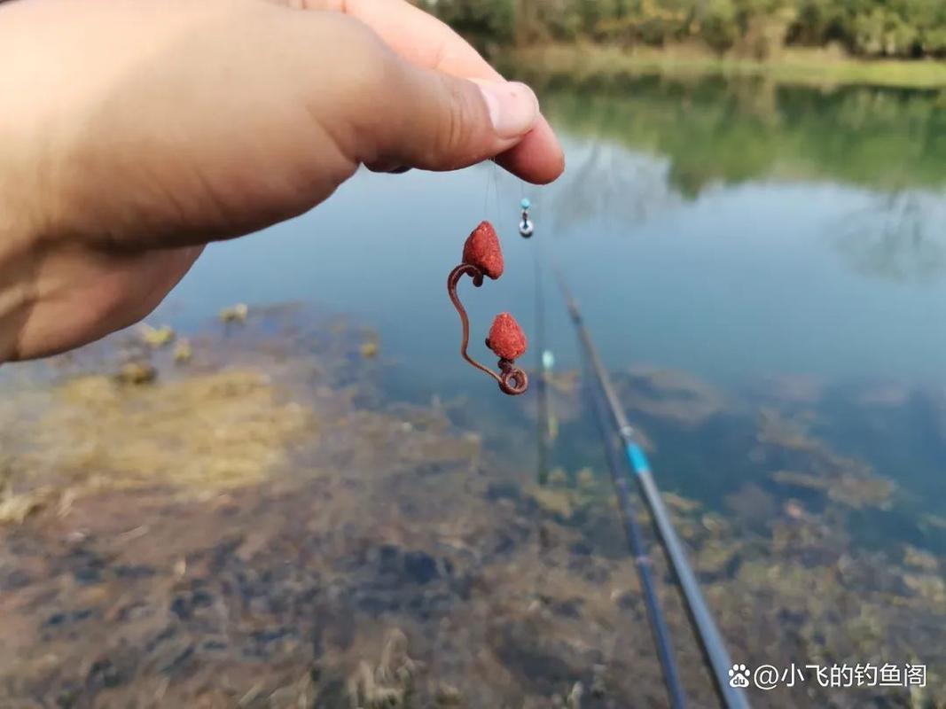 釣魚論壇哪個最好_釣魚論壇_海峽釣魚論壇