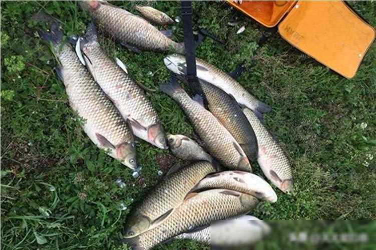 春季野釣實戰技巧_釣點選擇技巧_釣魚論壇之野釣