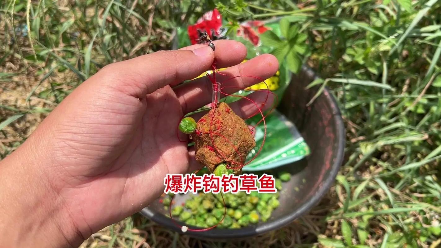 路亞竿釣草魚用什么餌最好_路亞釣草魚用什么餌最好視頻_草魚用路亞餌最好釣