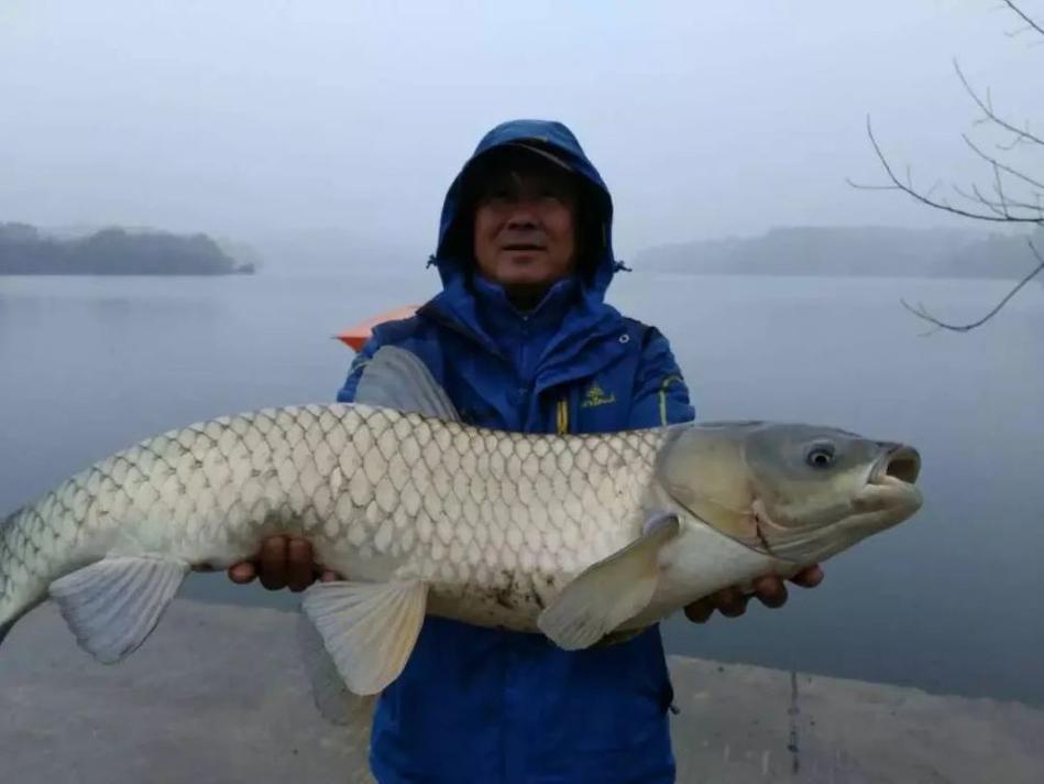 路亞釣法技巧分享_路亞釣法入門教程_路亞釣草魚用什么餌料什么鉤