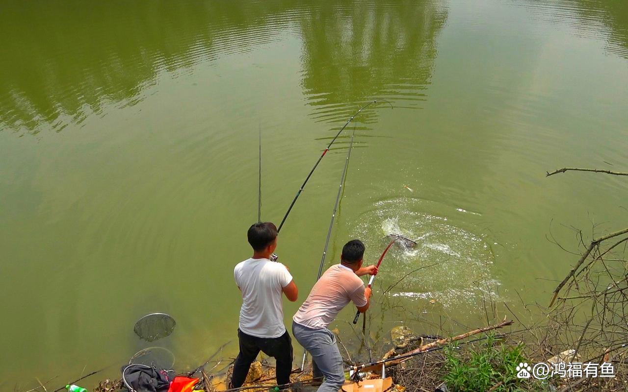 野釣技巧分享_野釣必備小竅門_野外垂釣技巧
