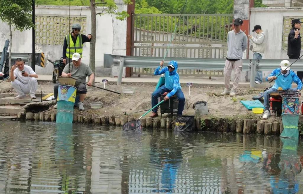 太倉釣魚吧_太倉釣魚網_太倉釣魚比賽2021