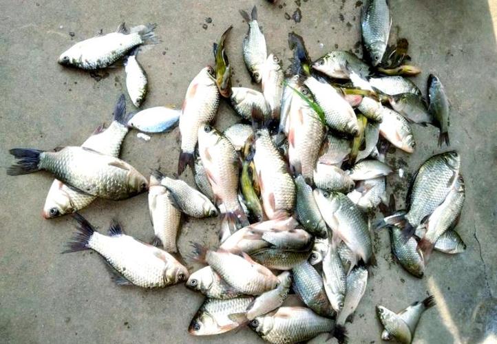 釣魚人app_釣魚人APP分享漁獲交流技巧_釣魚人APP找釣場查天氣