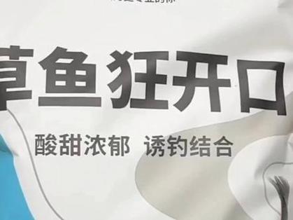 新鮮玉米釣草魚_山東國慶節怎樣釣草魚用什么餌料_饅頭餌草魚配方