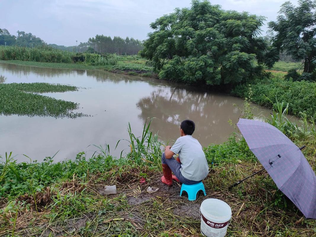夏天陰雨前釣魚怎么樣_夏天雨前釣魚好還是雨后釣魚好_夏季雨前釣魚