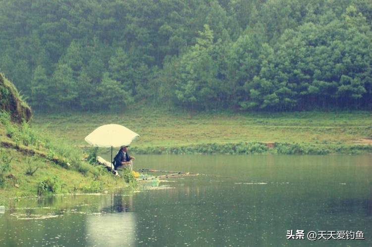 夏季雨前釣魚_夏天陰雨前釣魚怎么樣_夏天雨前釣魚好還是雨后釣魚好