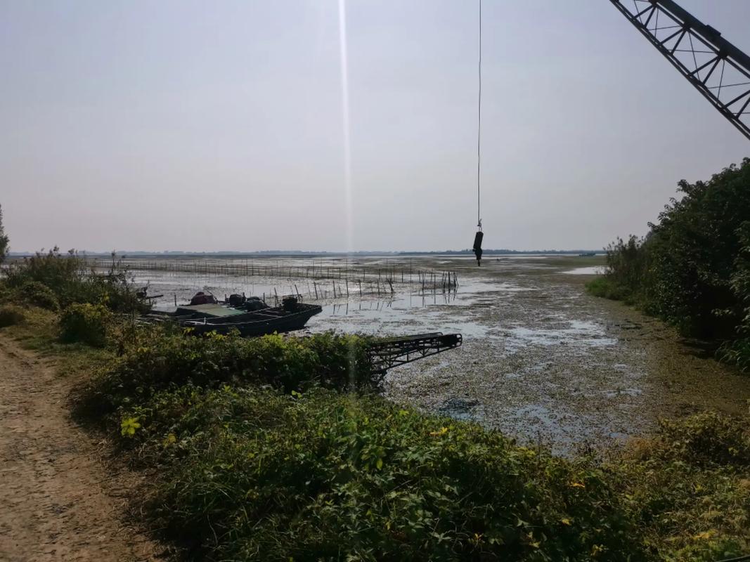 白馬湖釣魚活動_杭州白馬湖釣魚免費_釣友報名情況分析